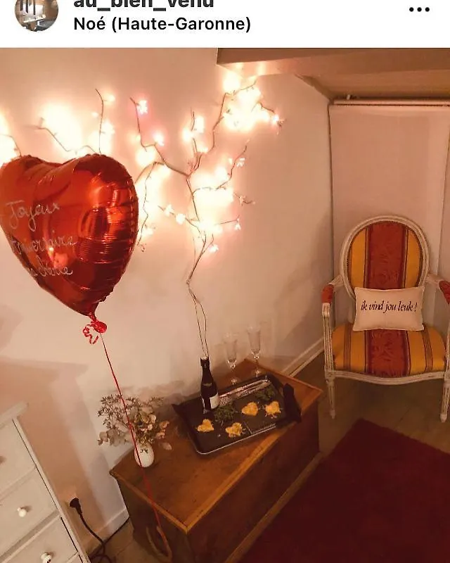 Au Bien Venu Bed & Breakfast Noe  France